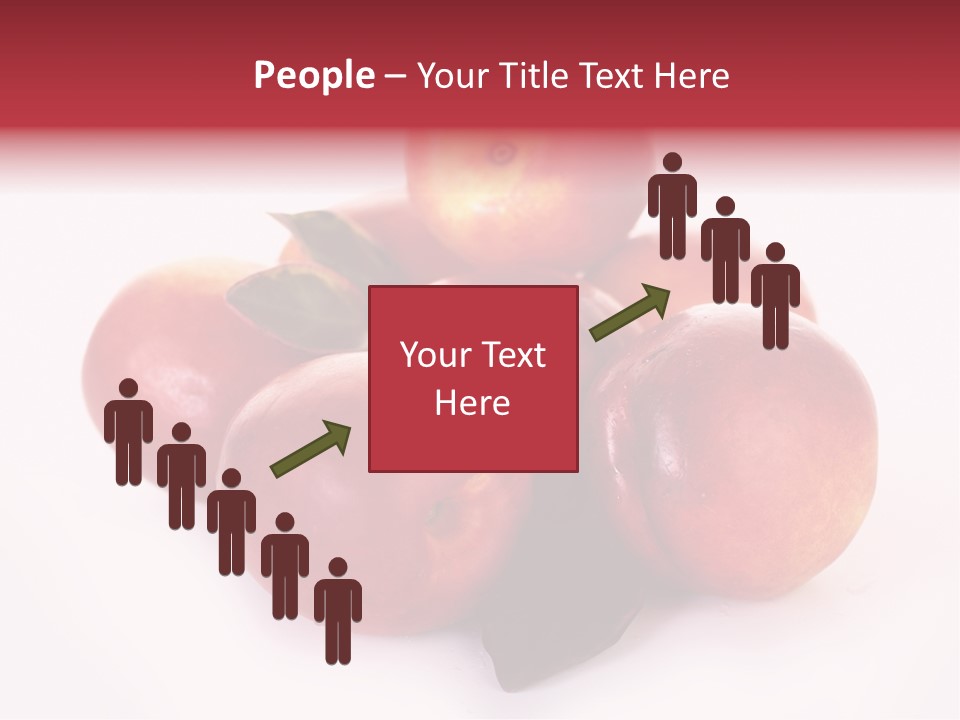 Macro Fresh Circle PowerPoint Template