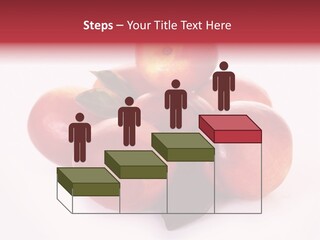 Macro Fresh Circle PowerPoint Template