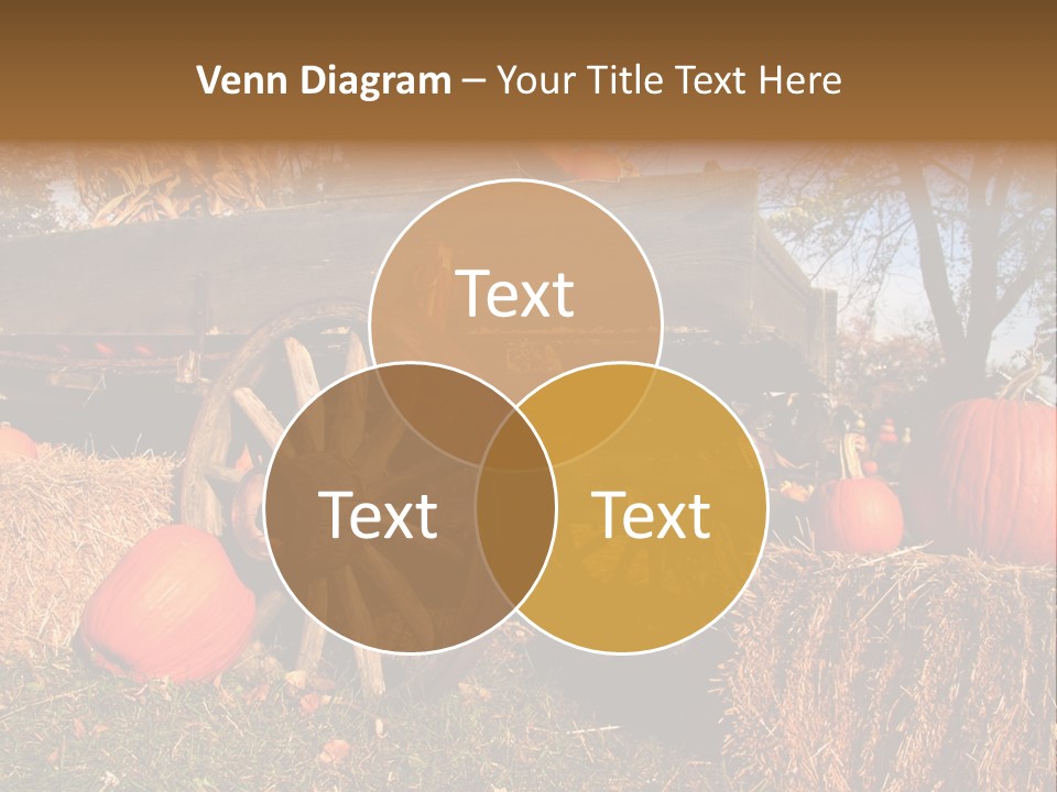 Juice Couple Pleasure PowerPoint Template