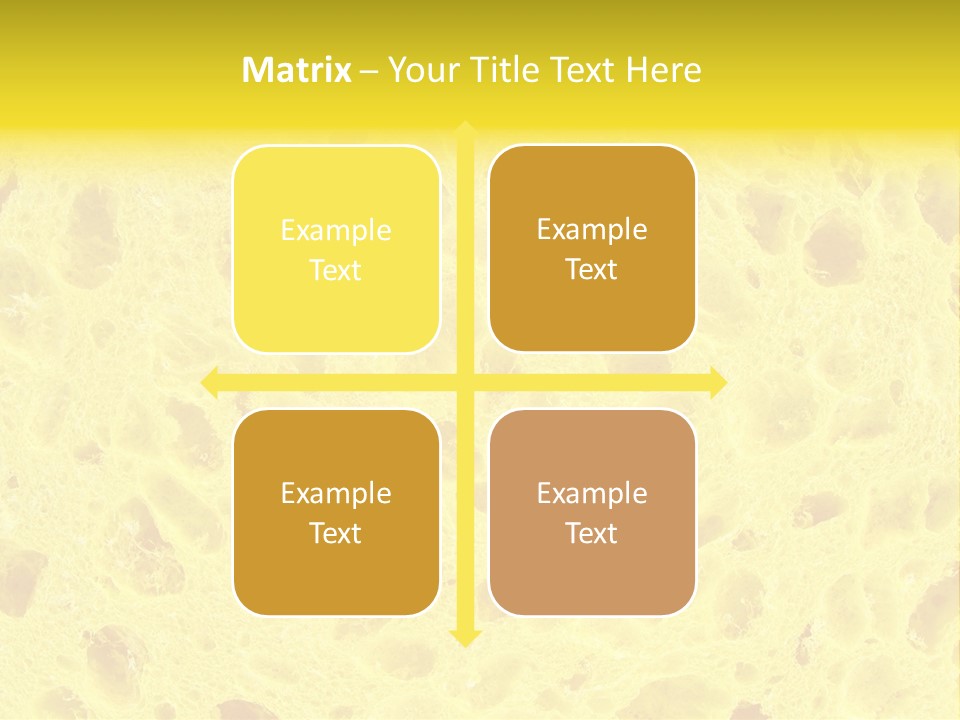 Sponge Surface PowerPoint Template