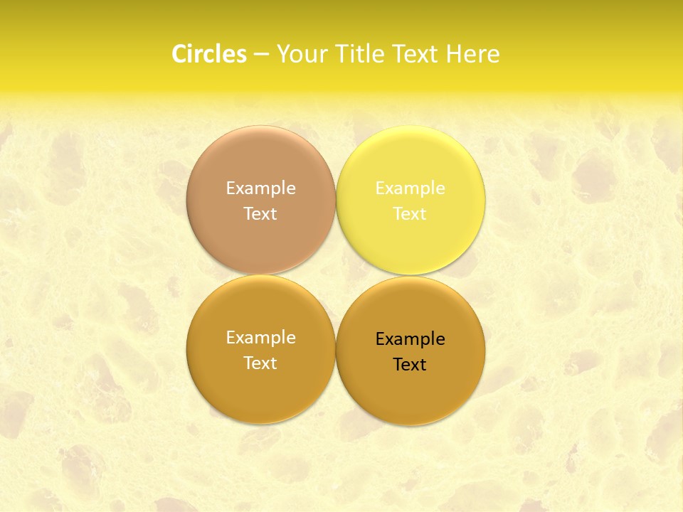 Sponge Surface PowerPoint Template