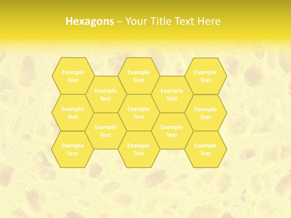 Sponge Surface PowerPoint Template