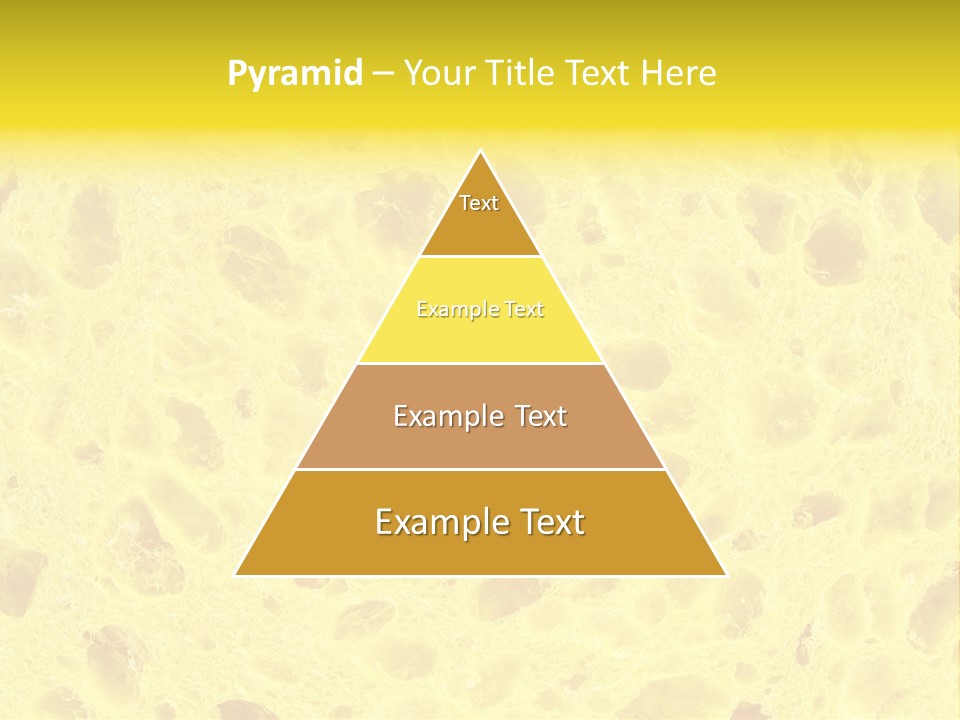 Sponge Surface PowerPoint Template