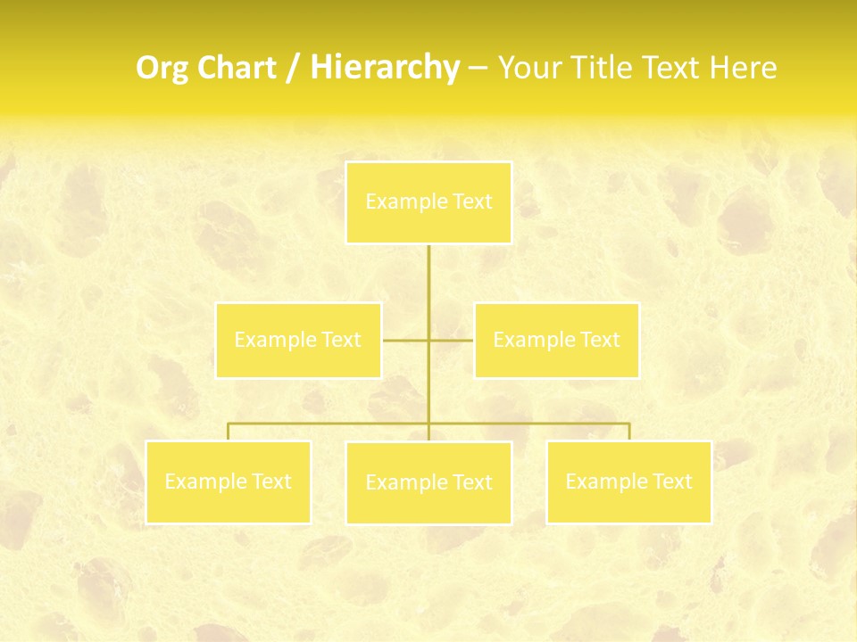 Sponge Surface PowerPoint Template