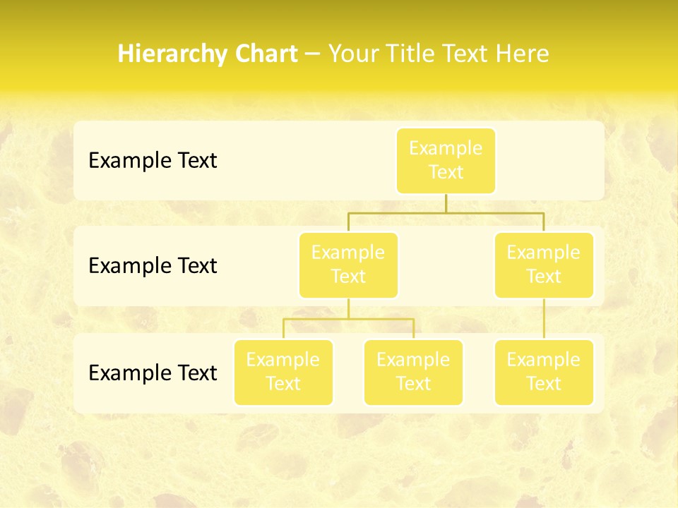 Sponge Surface PowerPoint Template