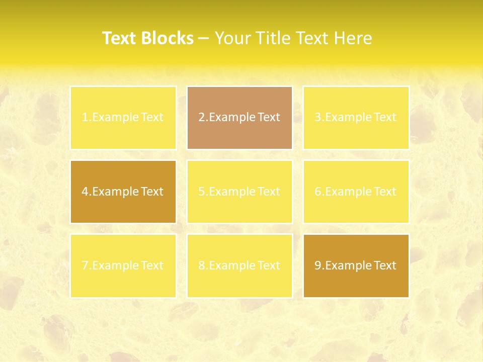 Sponge Surface PowerPoint Template