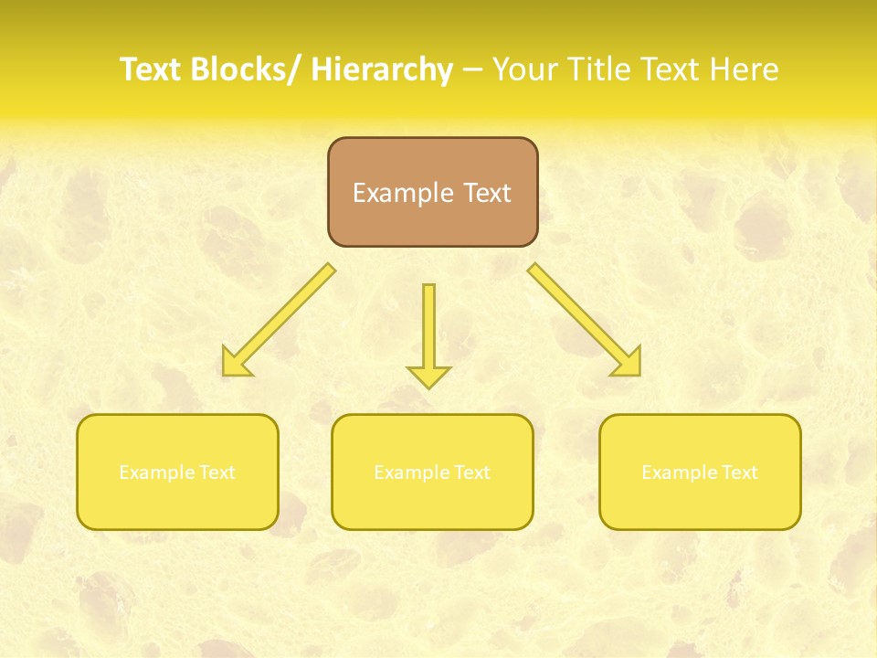 Sponge Surface PowerPoint Template