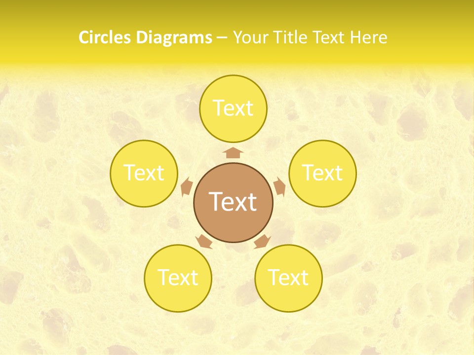 Sponge Surface PowerPoint Template