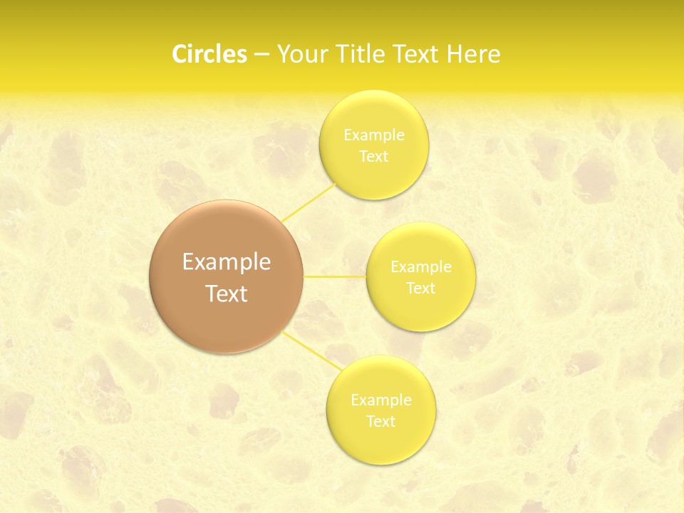 Sponge Surface PowerPoint Template