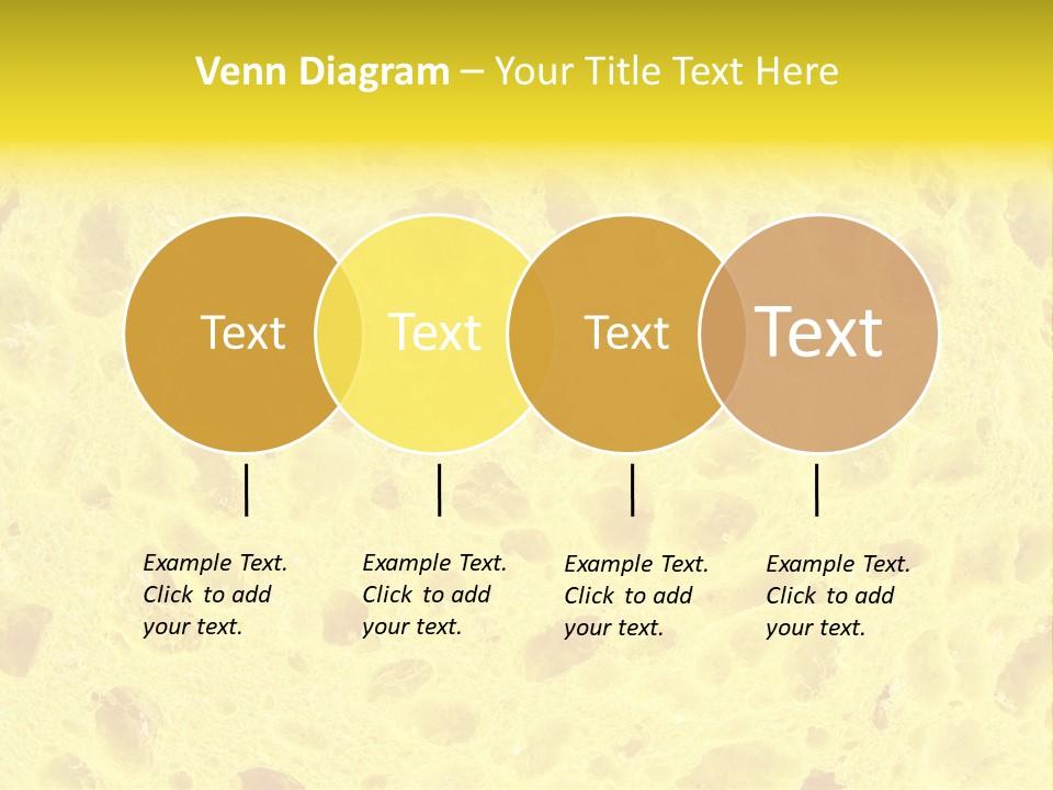 Sponge Surface PowerPoint Template