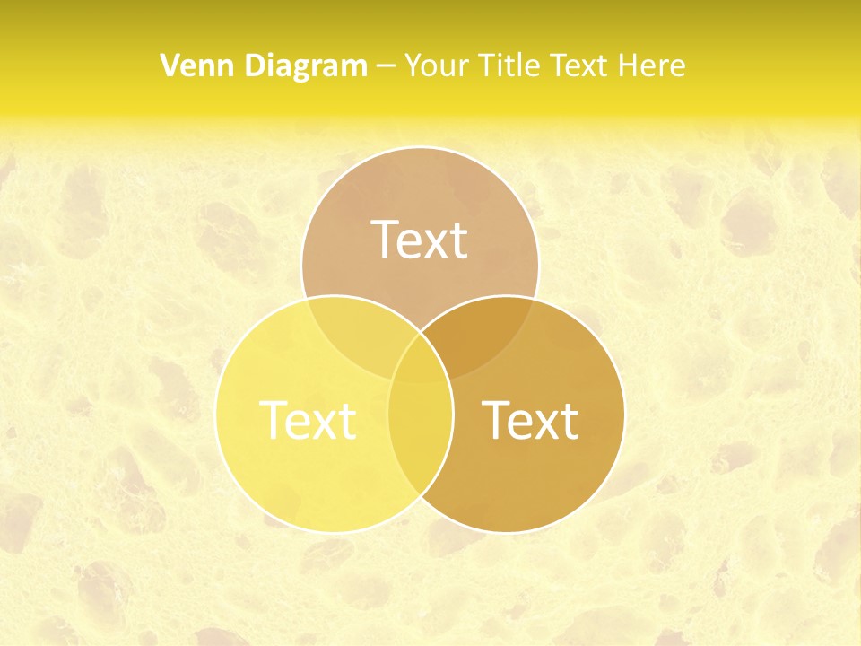 Sponge Surface PowerPoint Template