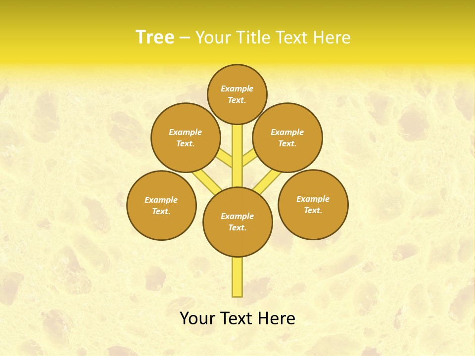 Sponge Surface PowerPoint Template