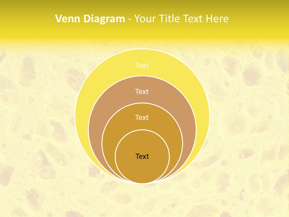 Sponge Surface PowerPoint Template