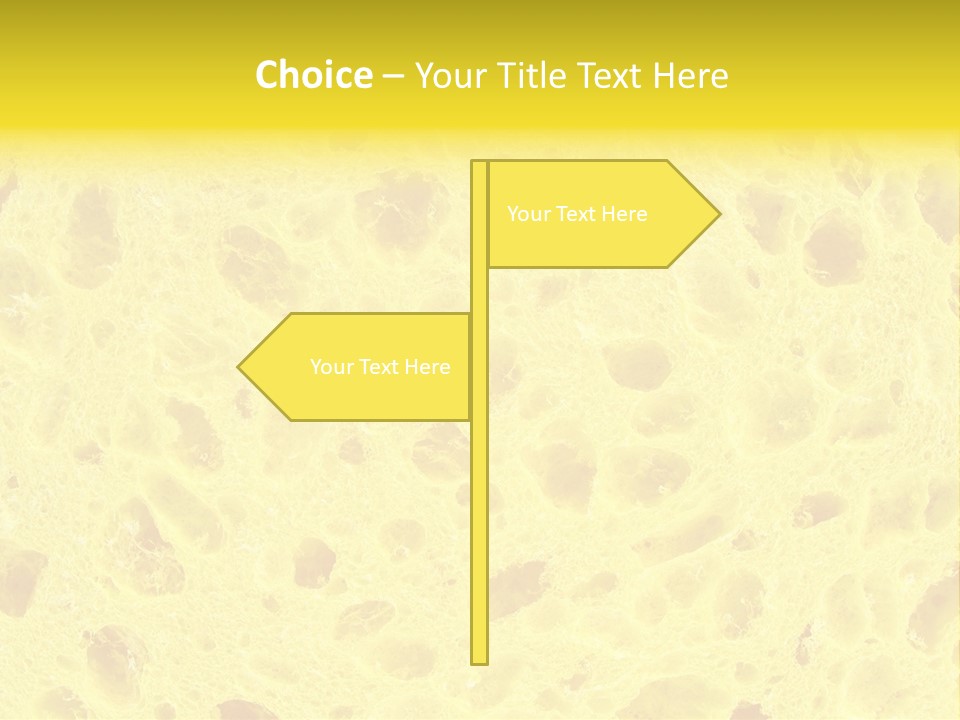 Sponge Surface PowerPoint Template