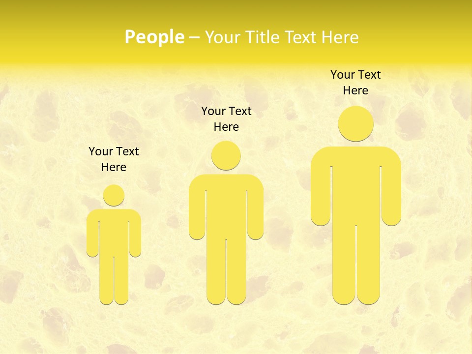 Sponge Surface PowerPoint Template