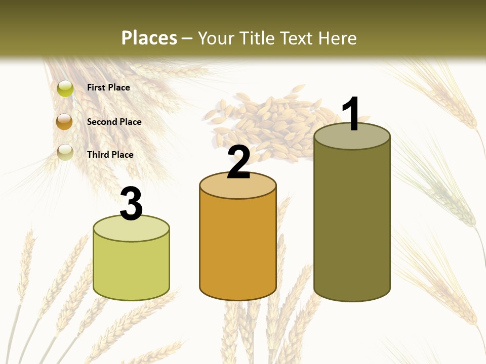Dry Hay Wheat PowerPoint Template