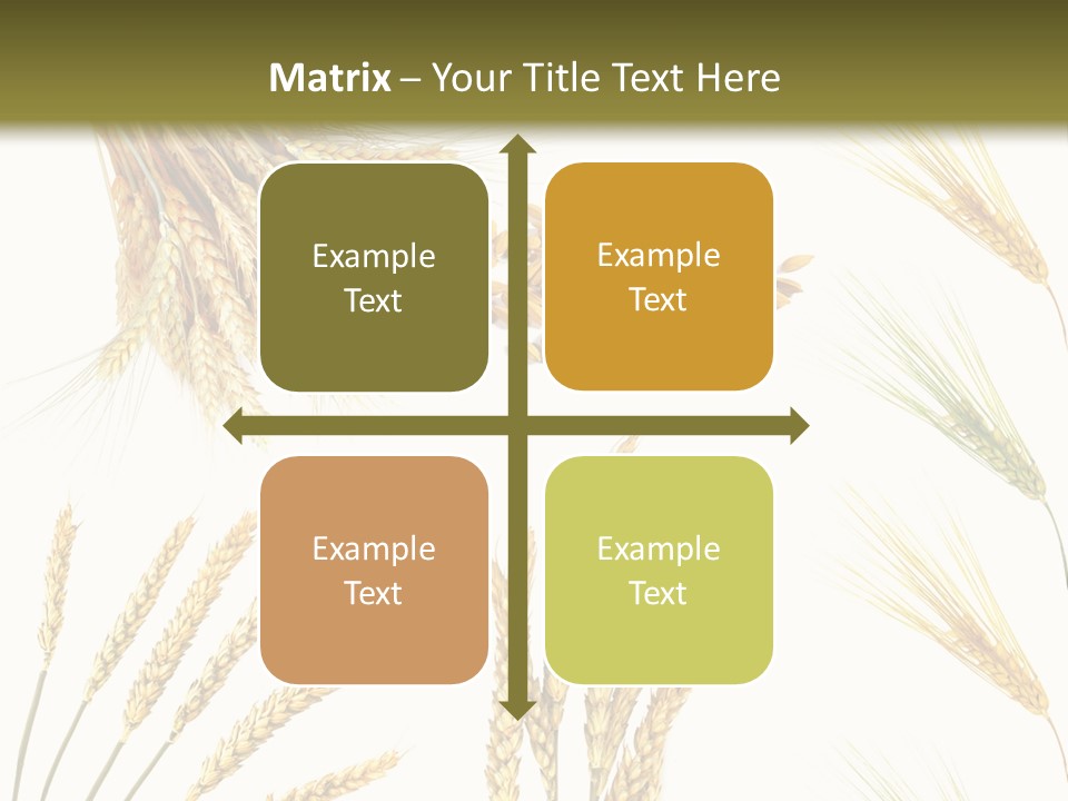 Dry Hay Wheat PowerPoint Template