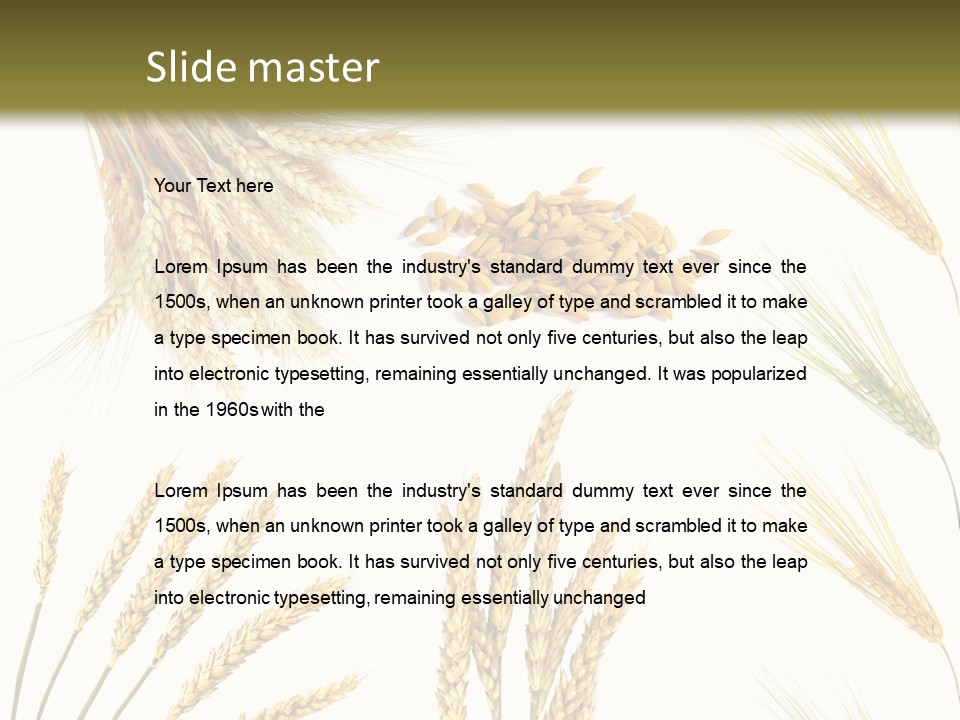 Dry Hay Wheat PowerPoint Template