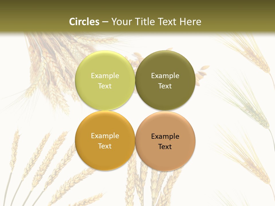 Dry Hay Wheat PowerPoint Template