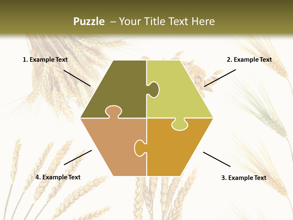 Dry Hay Wheat PowerPoint Template