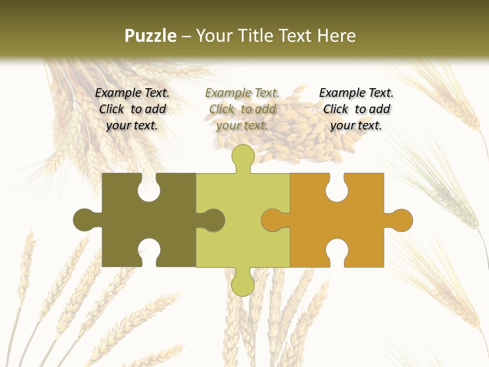 Dry Hay Wheat PowerPoint Template