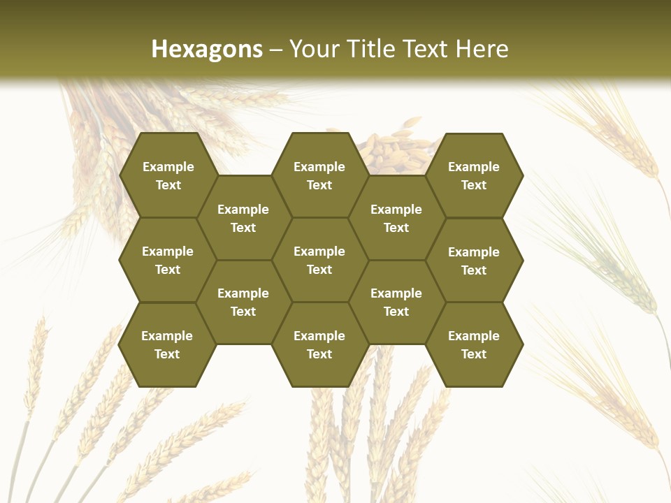 Dry Hay Wheat PowerPoint Template