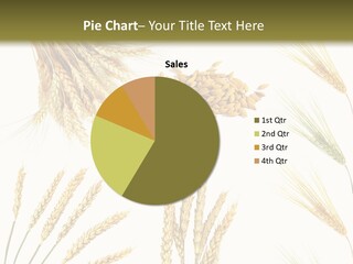 Dry Hay Wheat PowerPoint Template