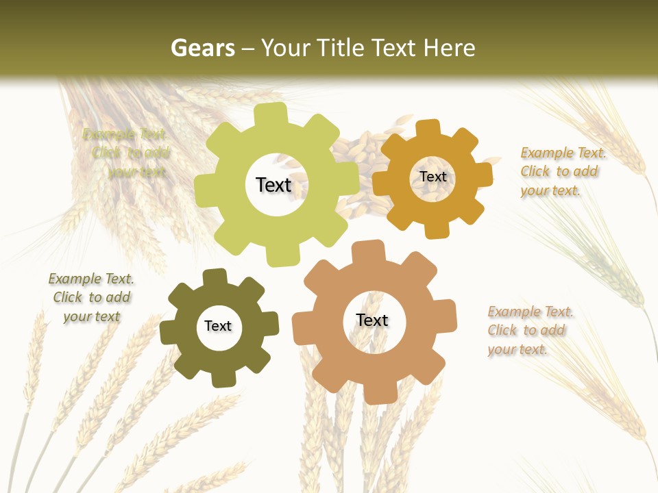 Dry Hay Wheat PowerPoint Template