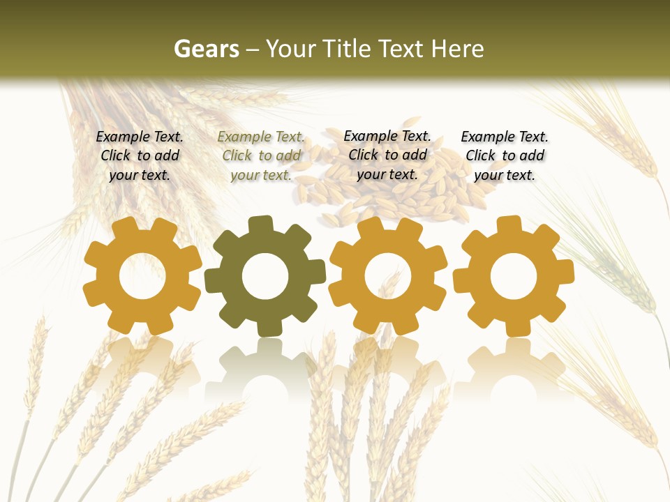 Dry Hay Wheat PowerPoint Template