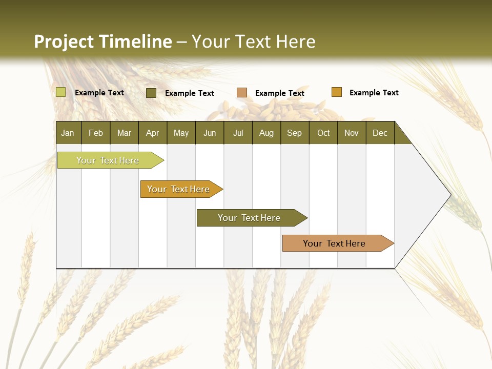 Dry Hay Wheat PowerPoint Template