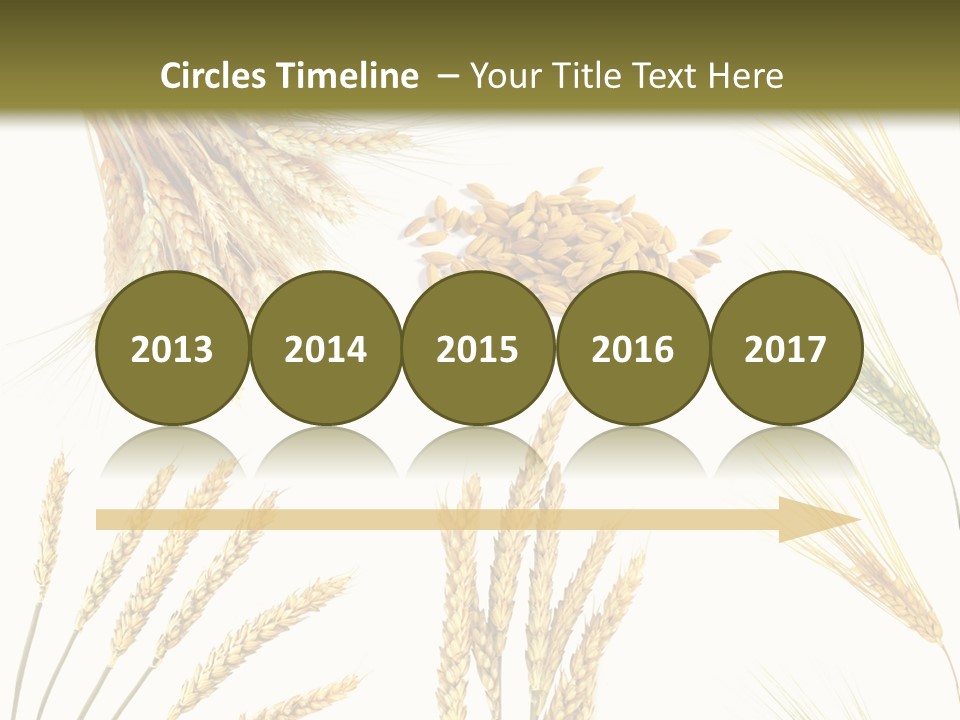 Dry Hay Wheat PowerPoint Template