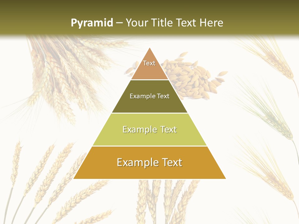 Dry Hay Wheat PowerPoint Template