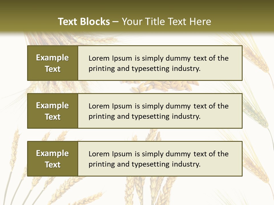Dry Hay Wheat PowerPoint Template