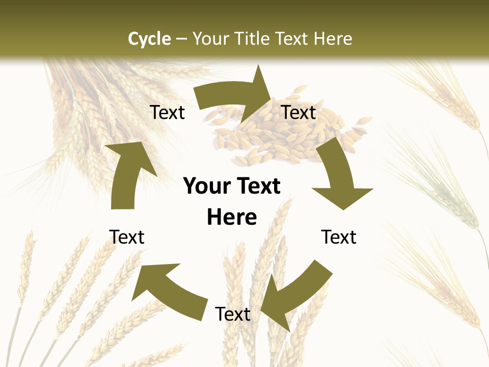 Dry Hay Wheat PowerPoint Template