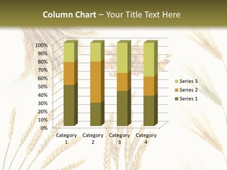 Dry Hay Wheat PowerPoint Template