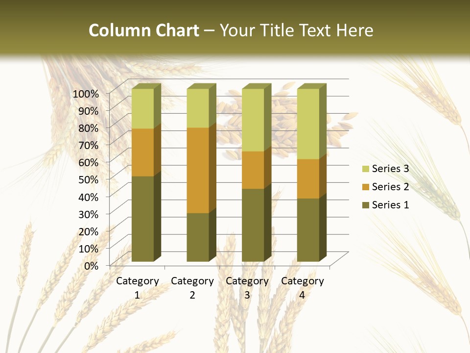 Dry Hay Wheat PowerPoint Template