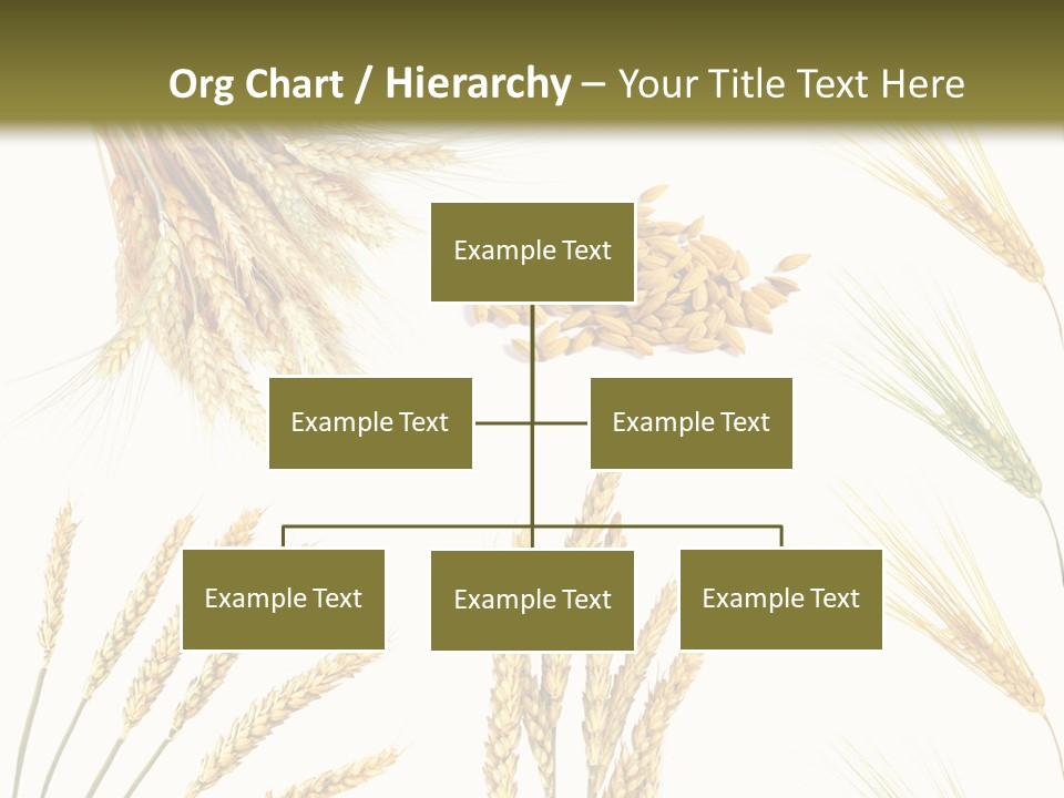 Dry Hay Wheat PowerPoint Template