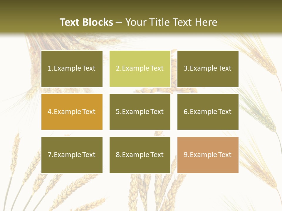 Dry Hay Wheat PowerPoint Template