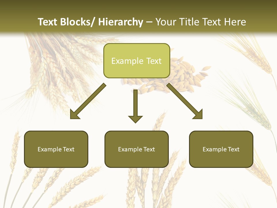 Dry Hay Wheat PowerPoint Template