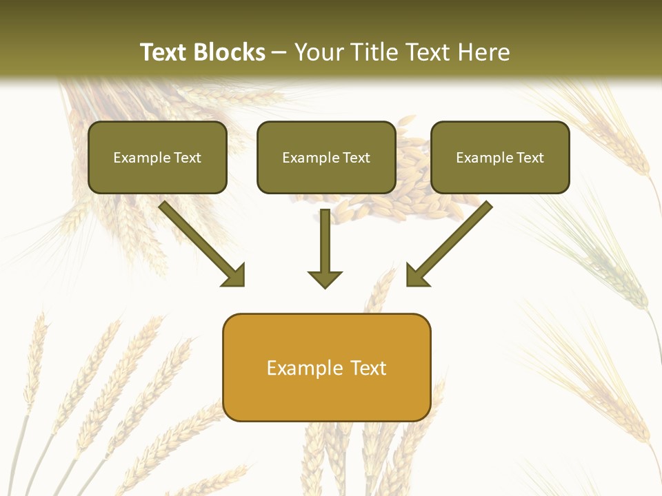 Dry Hay Wheat PowerPoint Template