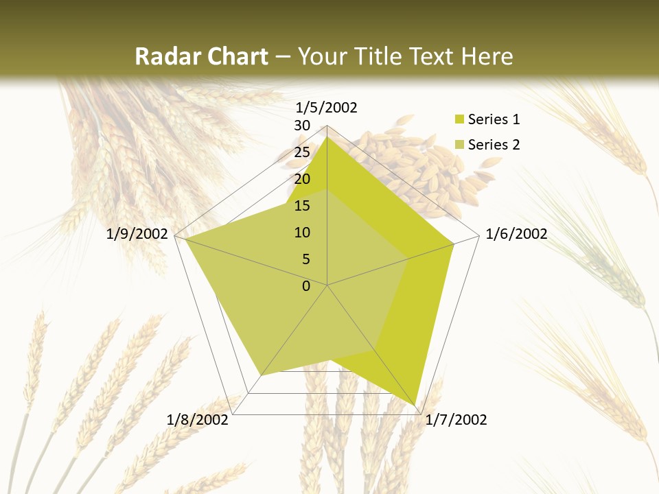 Dry Hay Wheat PowerPoint Template