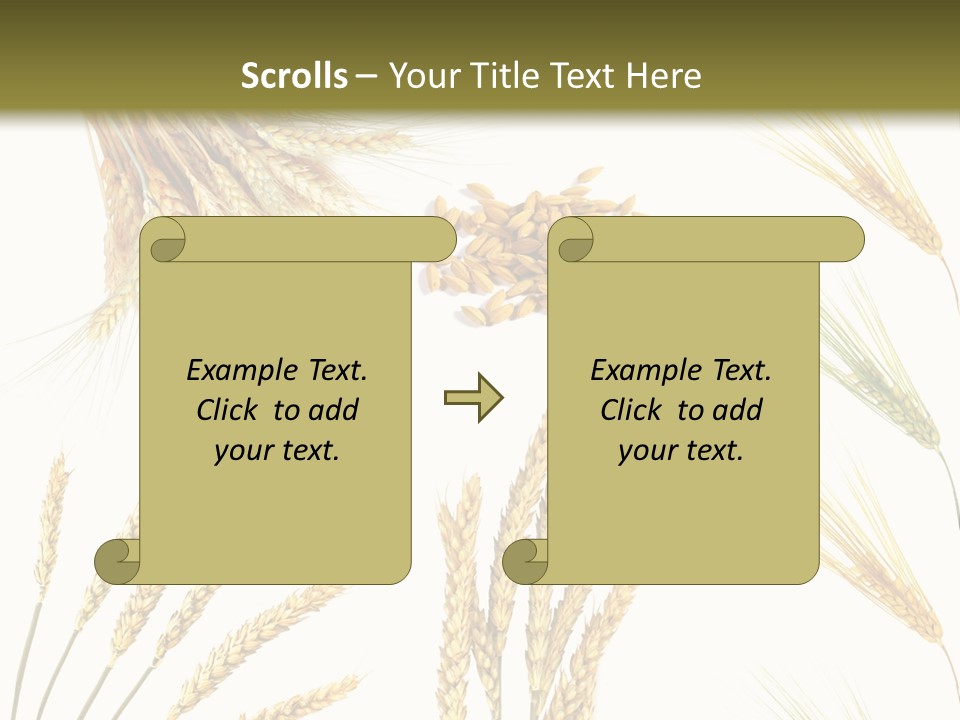 Dry Hay Wheat PowerPoint Template
