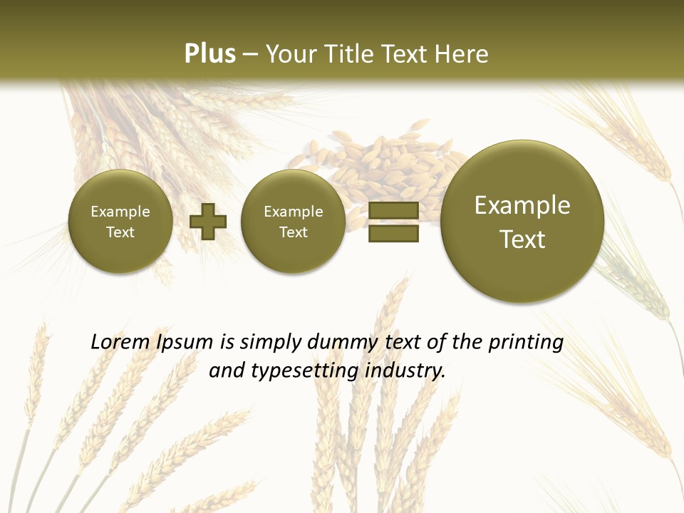 Dry Hay Wheat PowerPoint Template