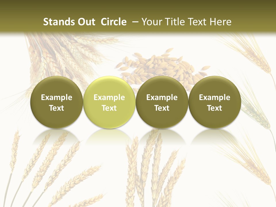 Dry Hay Wheat PowerPoint Template