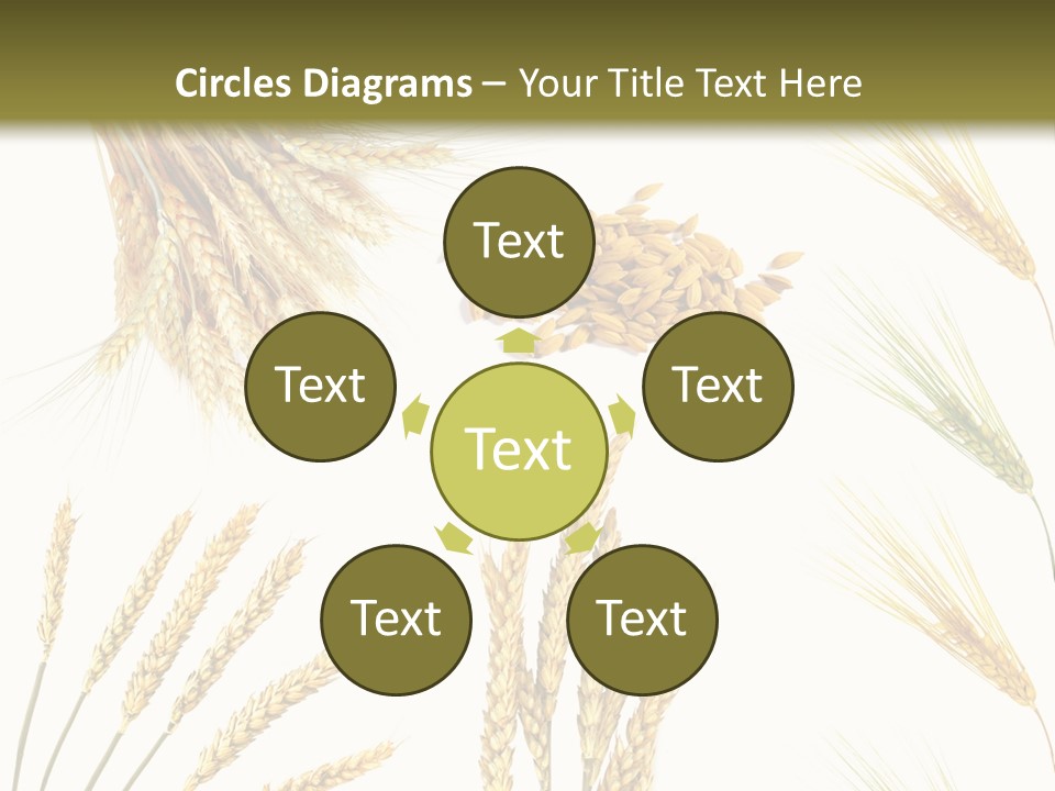 Dry Hay Wheat PowerPoint Template