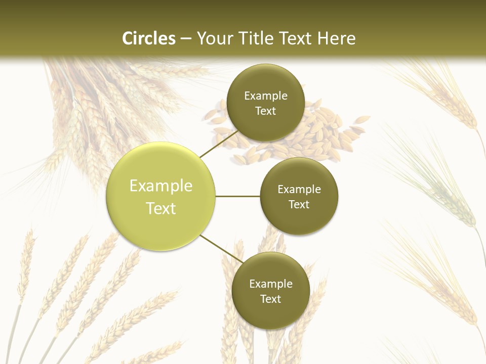 Dry Hay Wheat PowerPoint Template