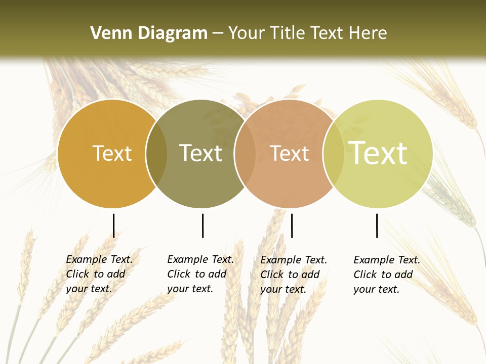Dry Hay Wheat PowerPoint Template