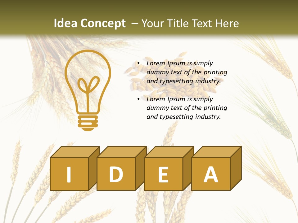 Dry Hay Wheat PowerPoint Template