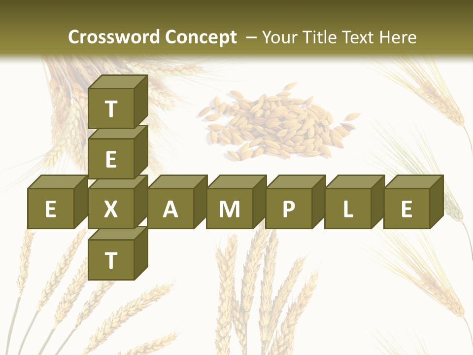Dry Hay Wheat PowerPoint Template
