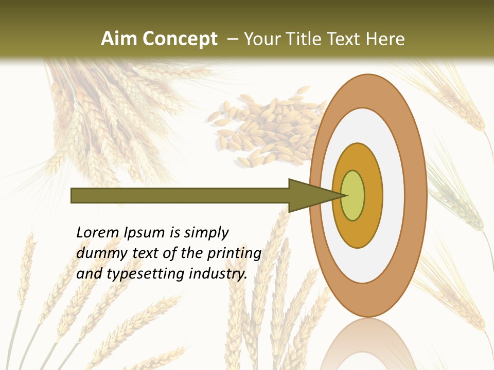 Dry Hay Wheat PowerPoint Template